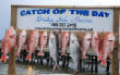 catchoftheweek/DSC_0231.JPG