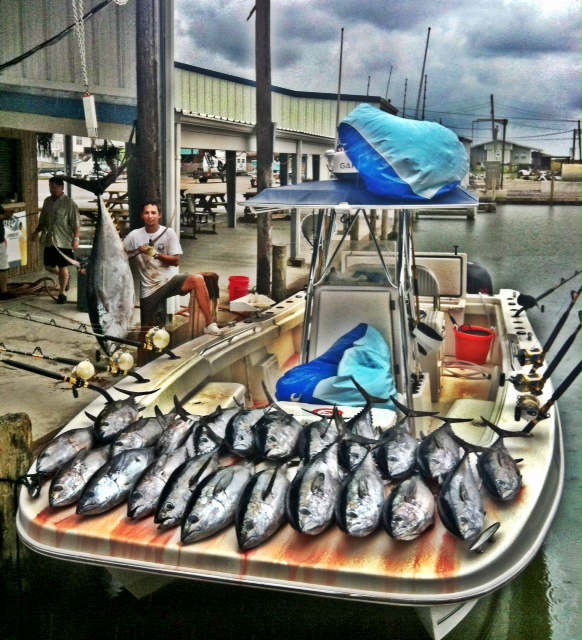 catchoftheweek/StateRecordTuna10132012.jpg